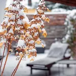 Tatil Evi Pod Vojtechem - Soukromy Wellness *