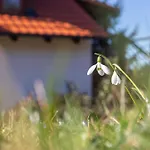 Pod Vojtechem - Soukromy Wellness